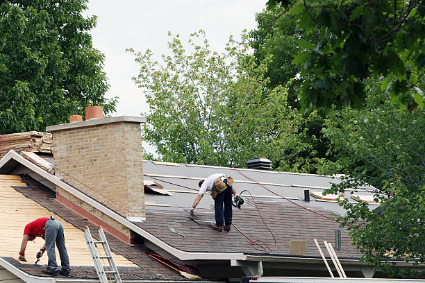 Best Roof Gutter Cleaning  in Westville, OK