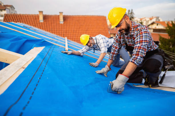 Best Metal Roofing Contractor  in Westville, OK